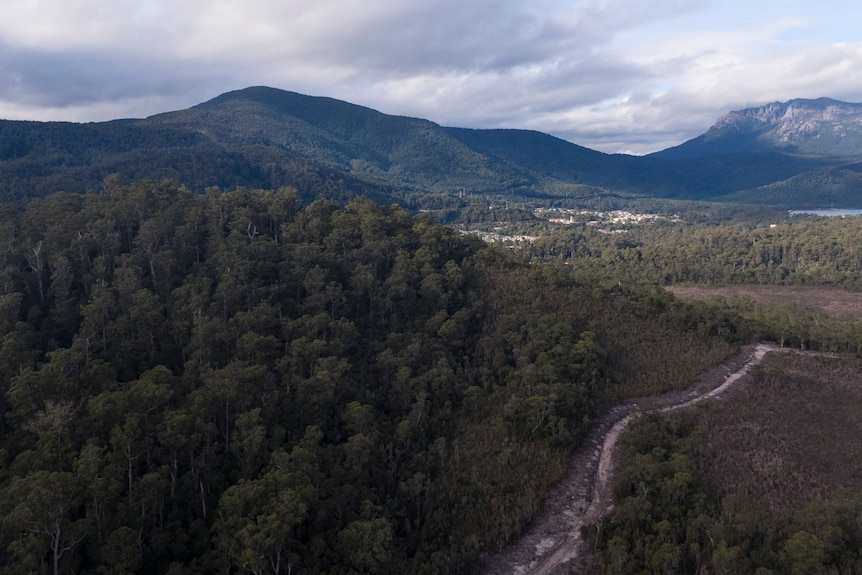 A forested mountainous area.