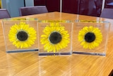 Three sunflower perspex plaques contain the names of Piers, Marnix and Margaux.