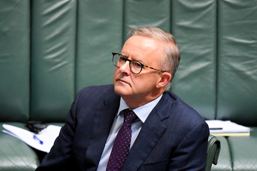 Close up shot of Anthony listening during parliament with a neutral expression. 