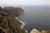 View of Cape Raoul coastline on Tasmania's Three Capes Track