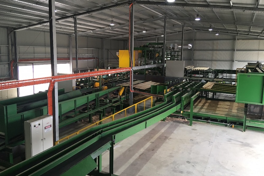 The inside of the radial timber mill where logs are loaded and cut into wedges