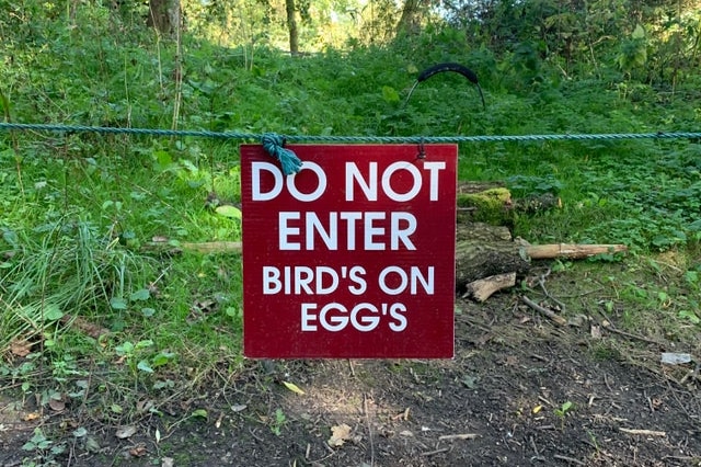 A sign saying 'Do not enter: bird's on egg's"