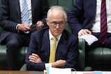 Malcolm Turnbull frowns, raises an eyebrow and crosses his arms across his chest.
