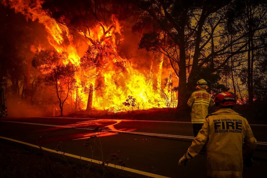 Two firefighters in yellow uniforms stand on a road looking at a massive fire burning in a eucalypt forest