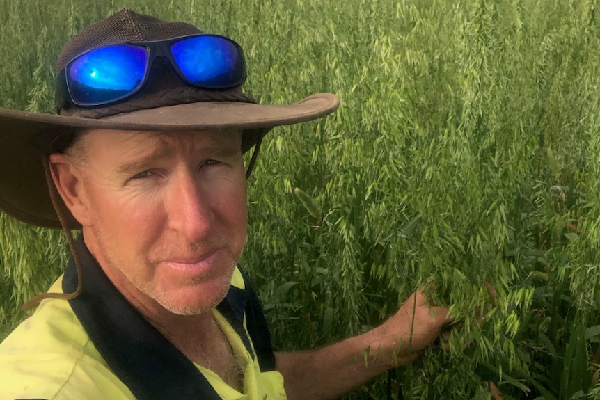 man in front of crop