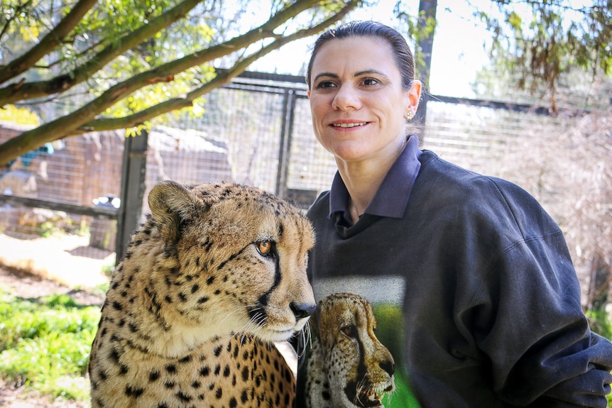 A woman wearing a cheetah jumper sits with an actual cheetah in an outdoor area of a zoo.