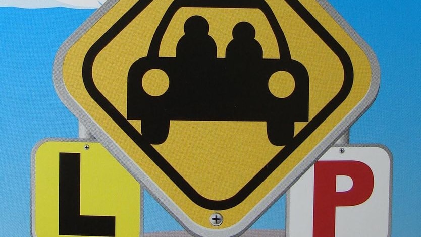 Learner driver poster show L plate and P plate, from Tasmanian Government.