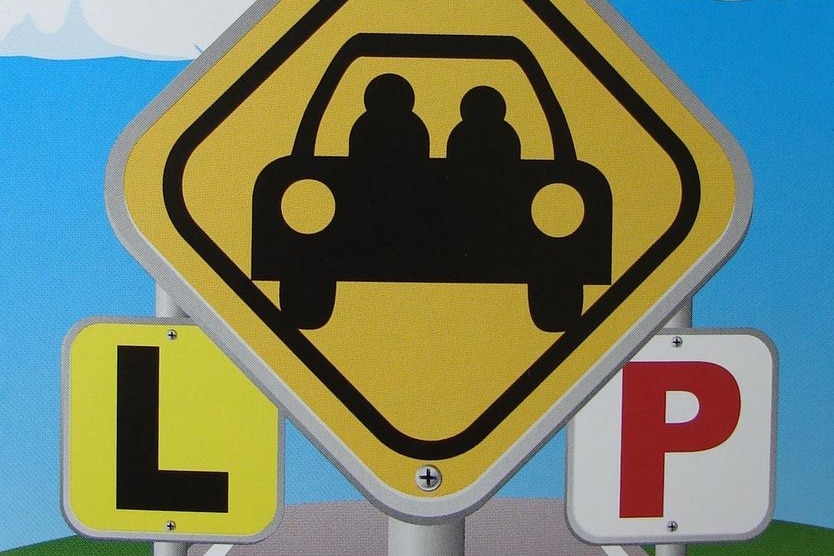 Learner driver poster show L plate and P plate, from Tasmanian Government.