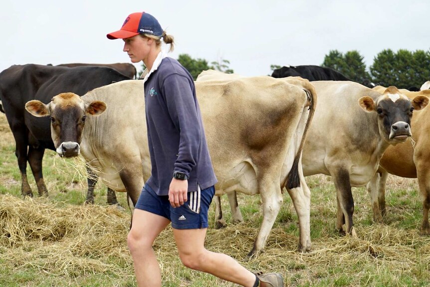 Shelley Scott walks past cows on a farm