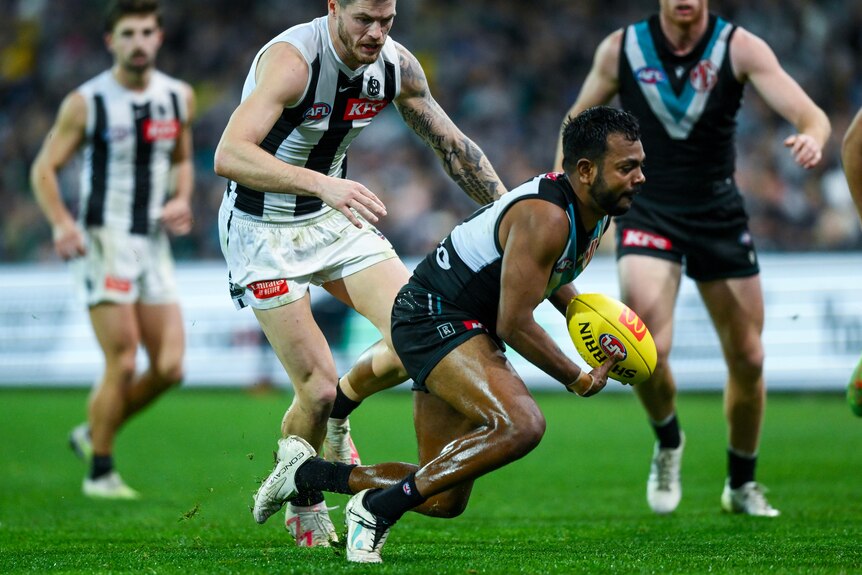 An Indigenous AFL player for Port Adelaide bends down to grab the ball as a Collingwood player closes in behind him.