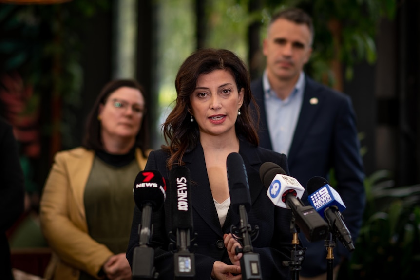 A woman with long brown hair speaks behind microphones