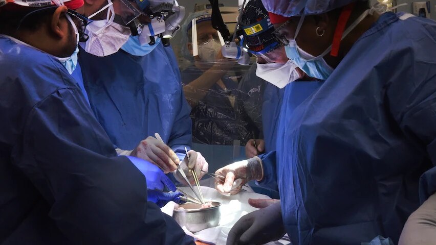 Surgeons transplanting a genetically modified pigs heart into a human patient.
