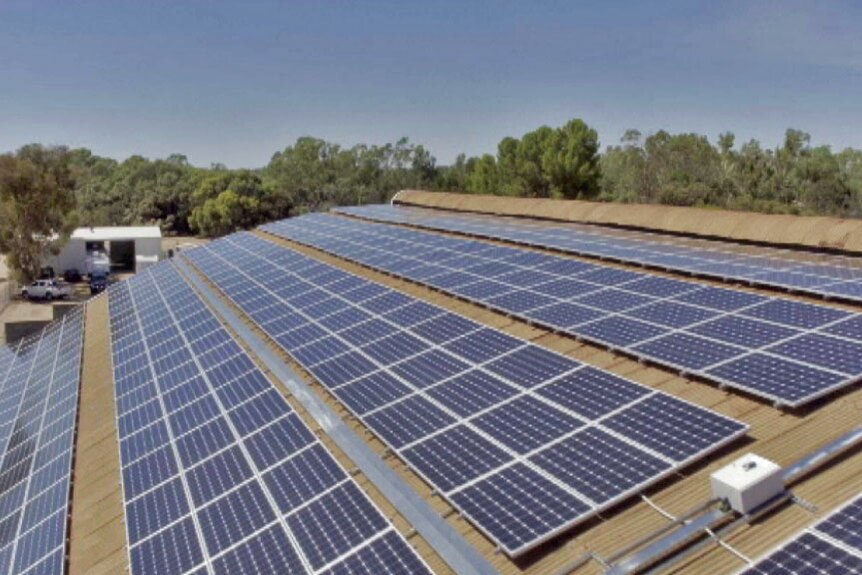 Renmark solar test site has 800 panels on a roof
