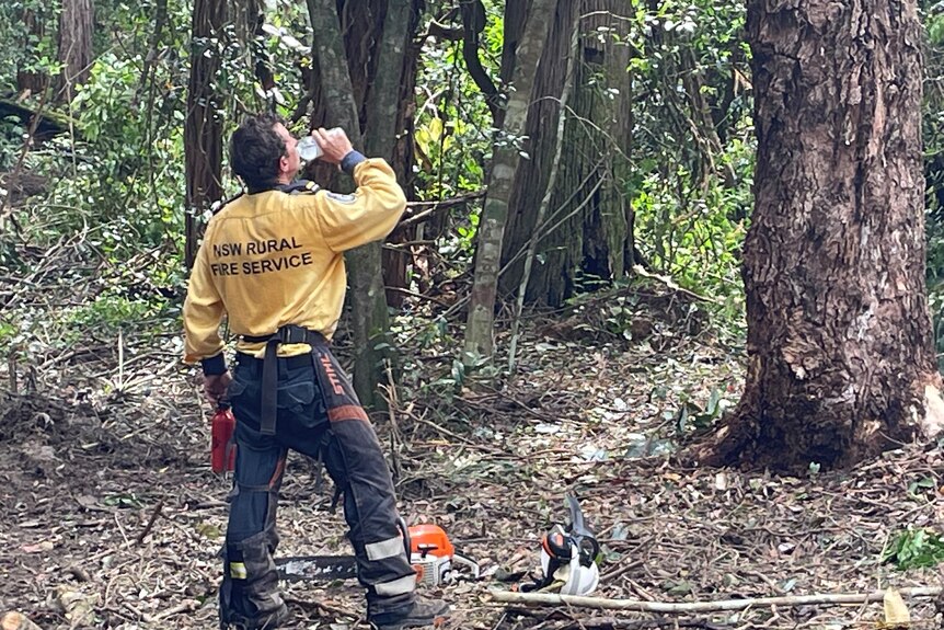 A man wearing a uniform with a yellow short and black pants stands in bushland drinking from a bottle of water.