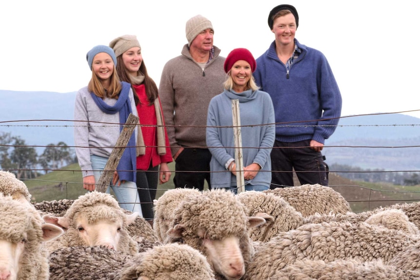 The Parsons family standing with their merino sheep on their Derwent Valley farm