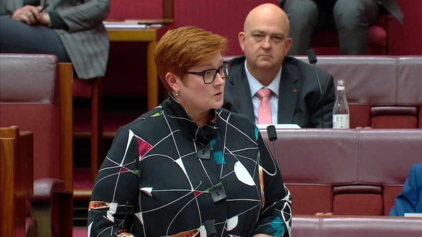 Foreign Minister Marise Payne unveils support for Australians stranded  overseas. - ABC News
