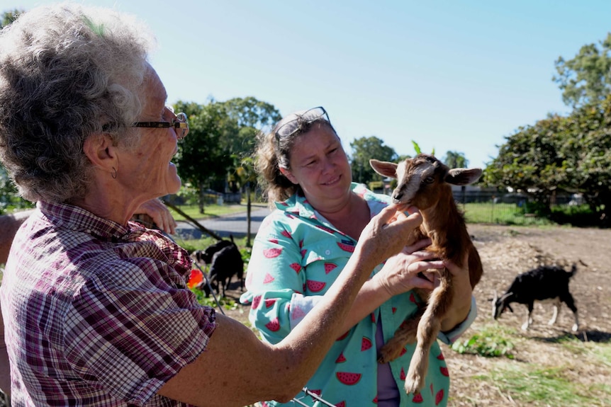 A lady pets a baby goat being held up by another woman.