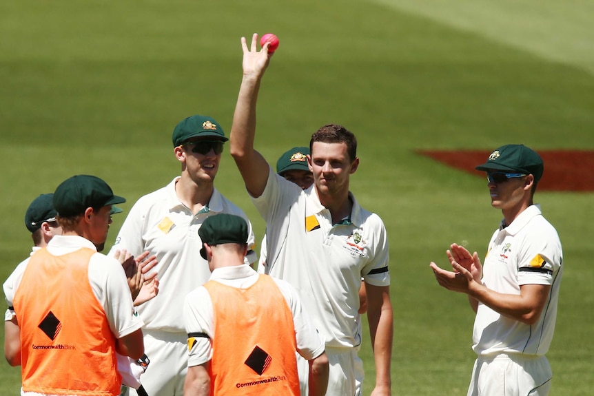 Josh Hazlewood celebrates his five wicket haul