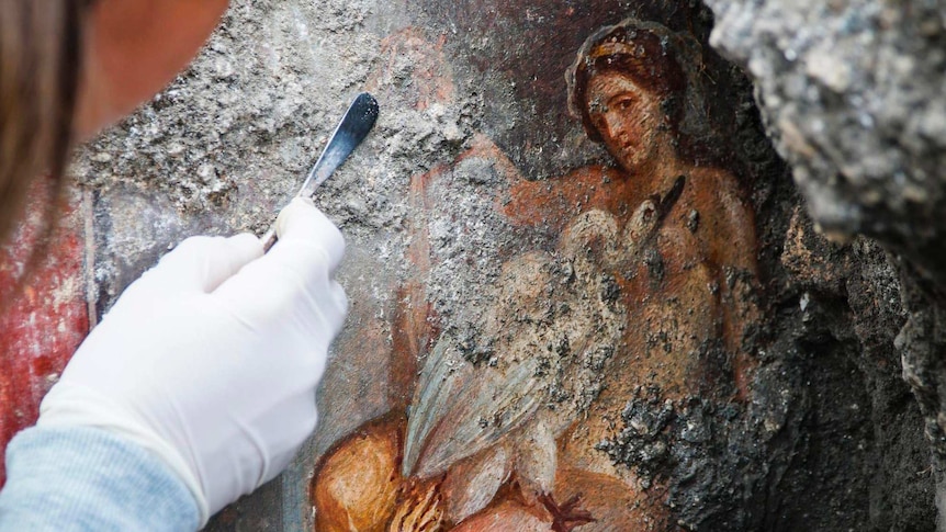 An archaeologist cleans up the fresco of Leda and the swan.