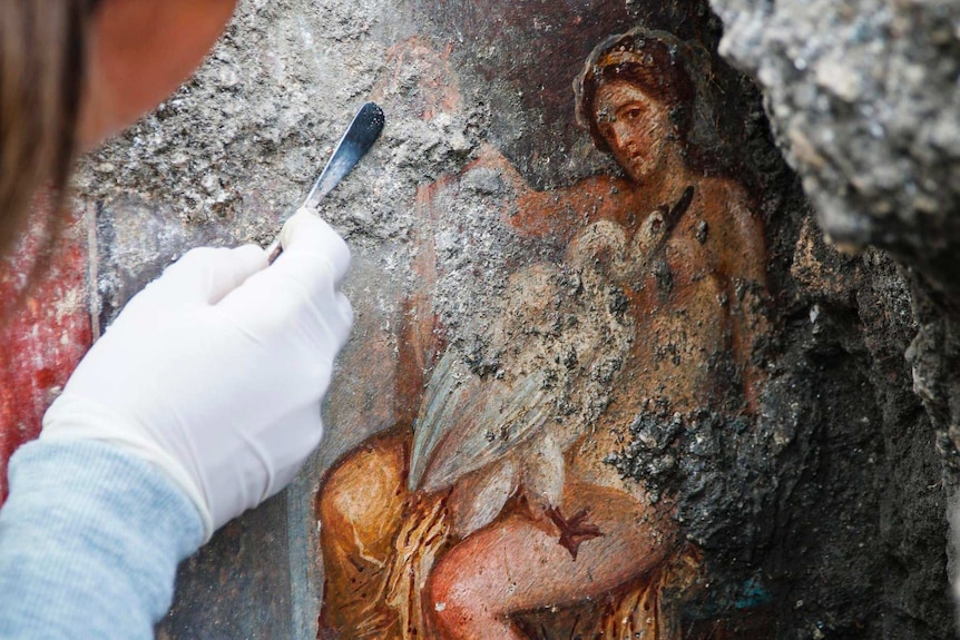 An archaeologist cleans up the fresco of Leda and the swan.