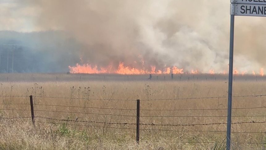 Bush fire burning on grass lots of smoke. 