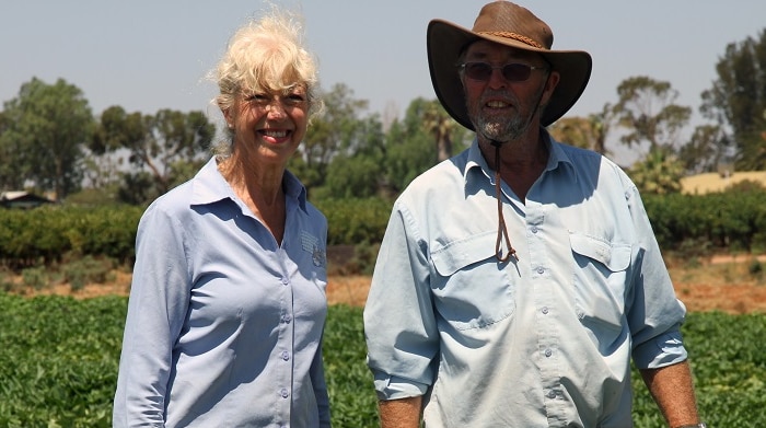 Ann and Peter Brooke in standing in their sweet potato field in Barmera.
