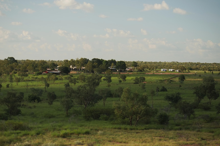 Buildings are seen in the distance, surrounded by trees, from a slightly elevated view.