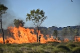 Indigenous rangers conduct fire management
