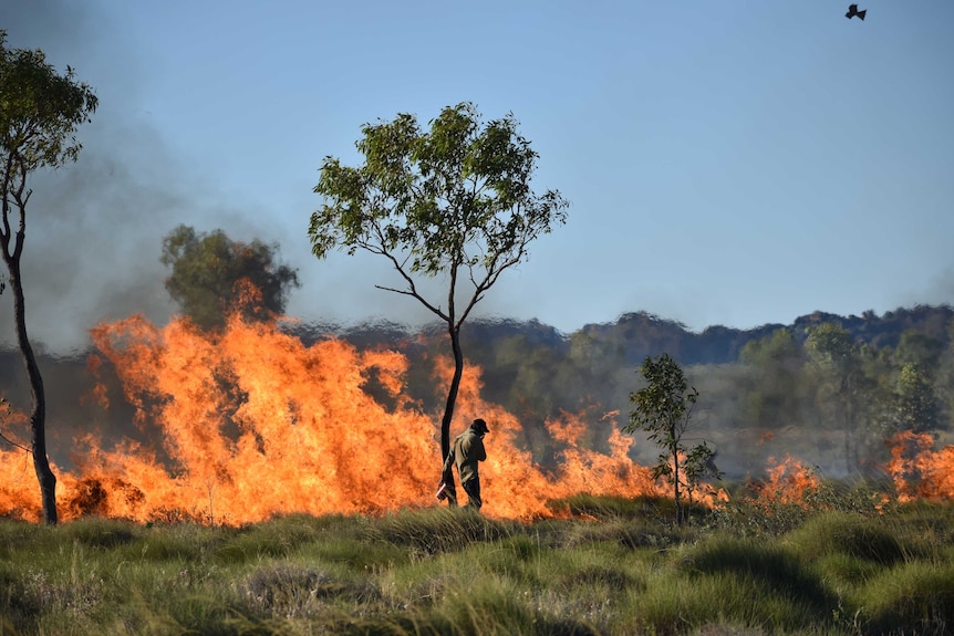 Indigenous rangers conduct fire management