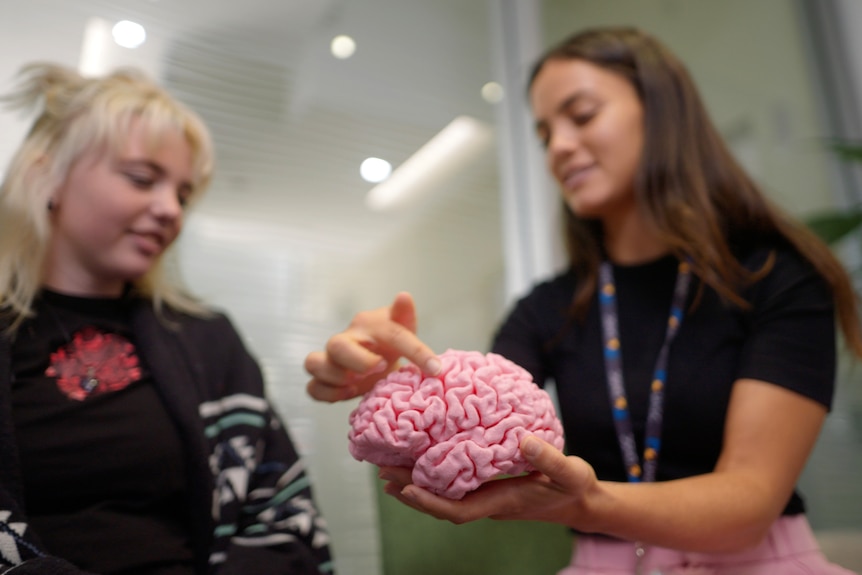 Two women looking at a model pink brain