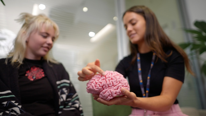 Two women looking at a model pink brain