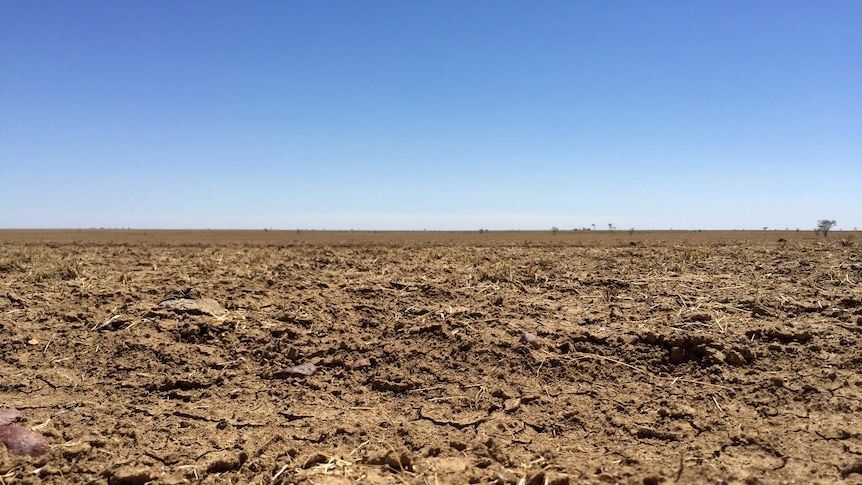 Dry landscape, nothing but black dirt, near Winton in western Qld.