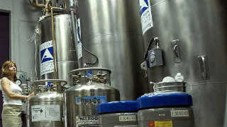 Dewars used in cryonics