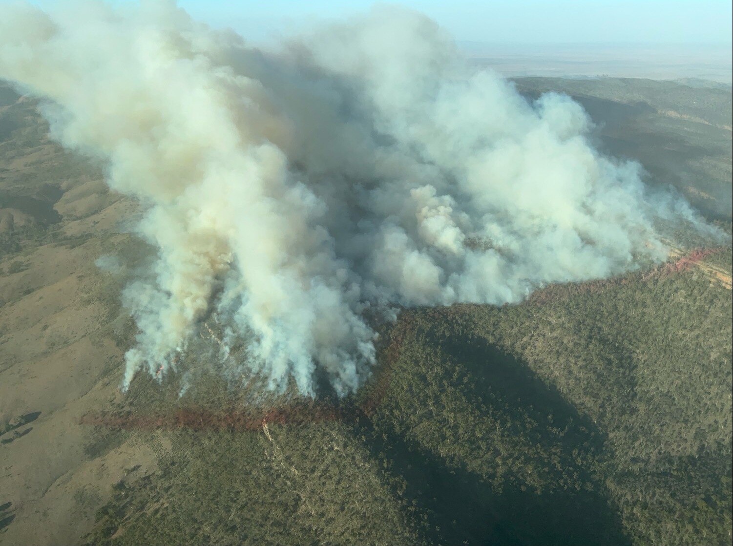 A fire burns in a national park, aerial shot