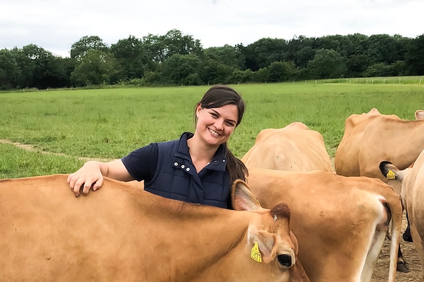 A woman in dark clothes stands among some burly Jersey cows.