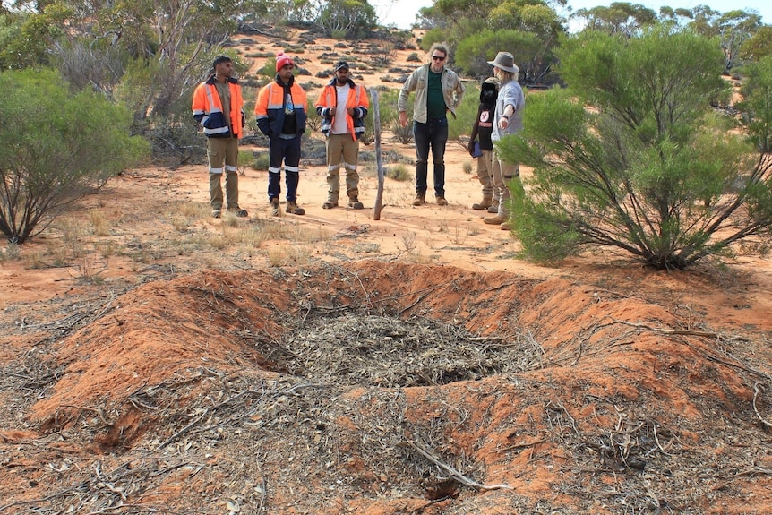 A group of people looking at a pile of leaves and debris in an arid outdoor setting.