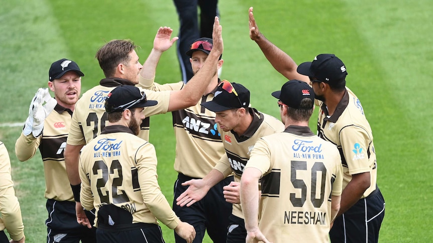 A group of international cricketers group around each other after taking a wicket in a T20I.