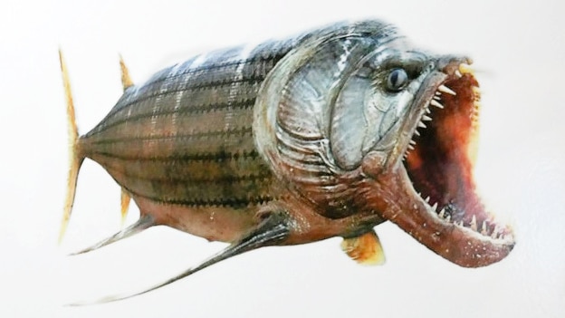a large, monstrous looking fish