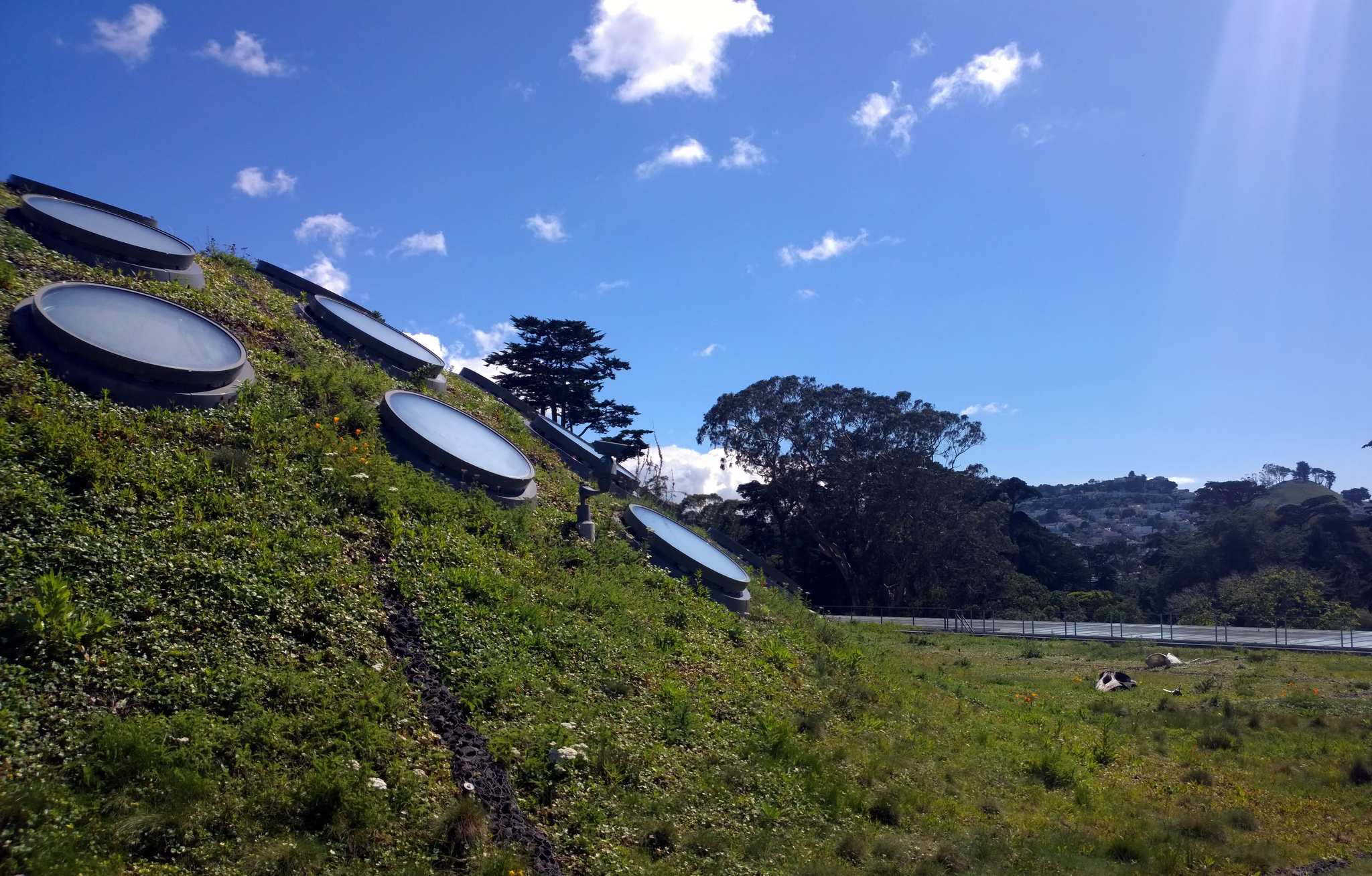 The notsowatery history of the porthole ABC Radio National