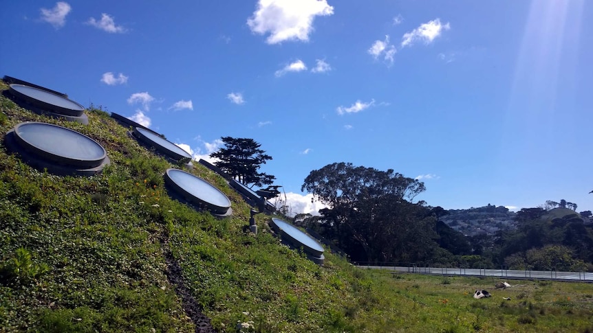 Portholes are used as skylights on the grass covered building of the California Academy of Sciences.