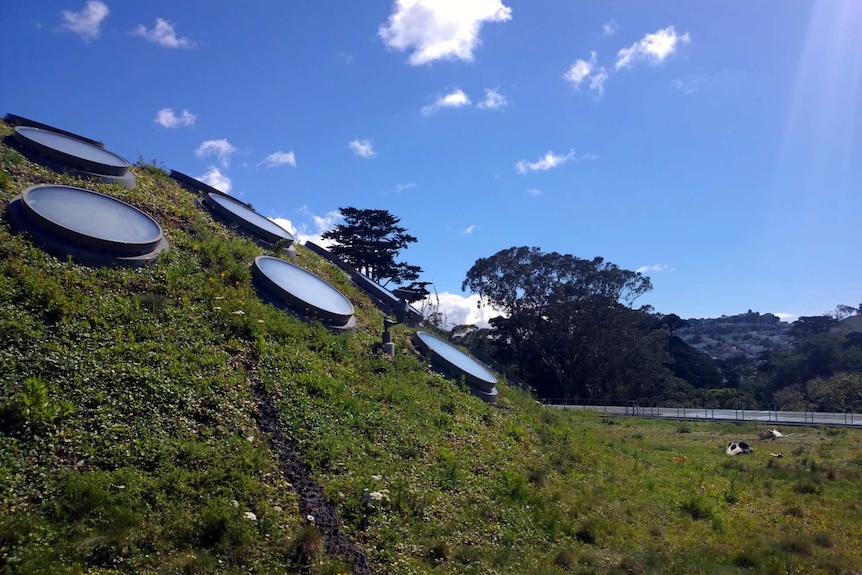 Portholes are used as skylights on the grass covered building of the California Academy of Sciences.