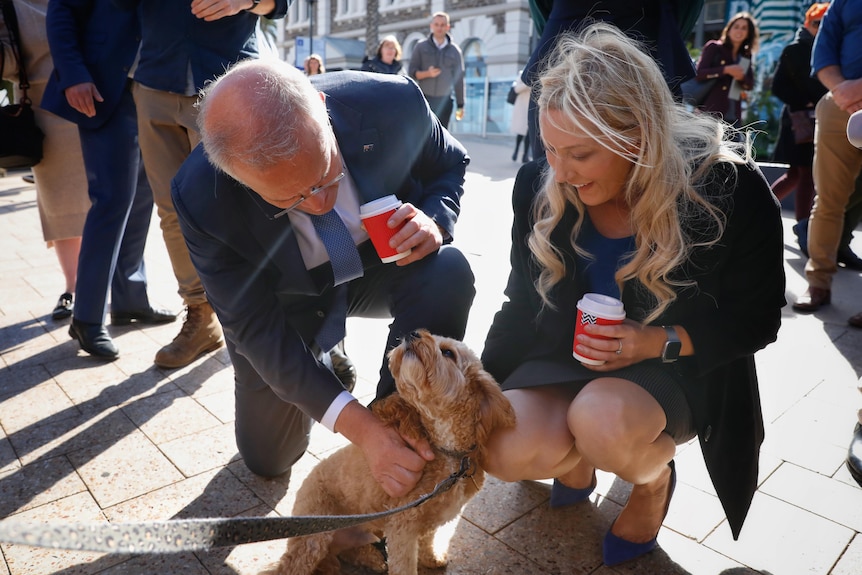 A man and a woman holding coffee cups bend down to pat a little brown cavoodle