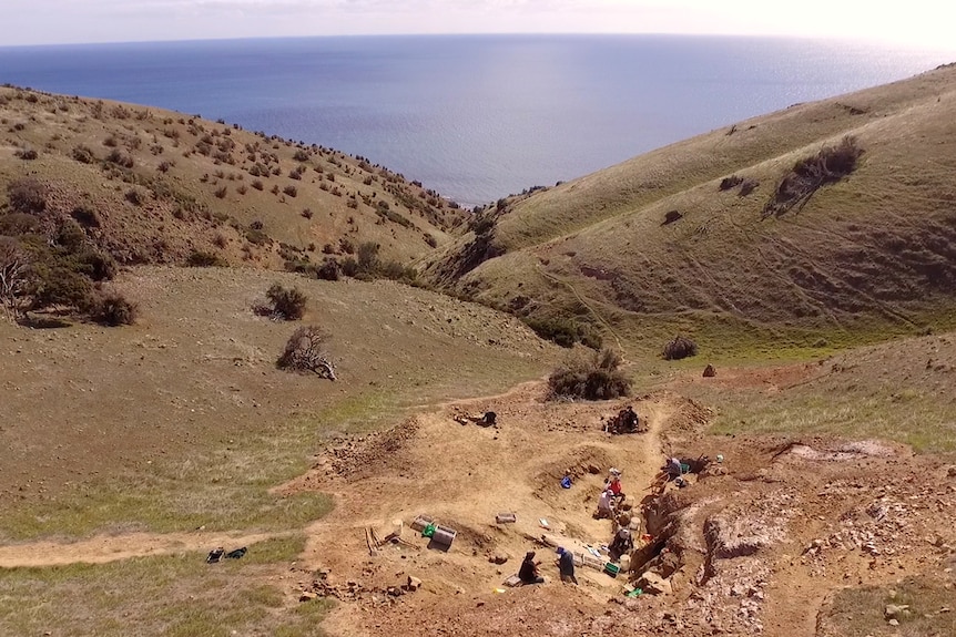 Kangaroo Island Fossil site