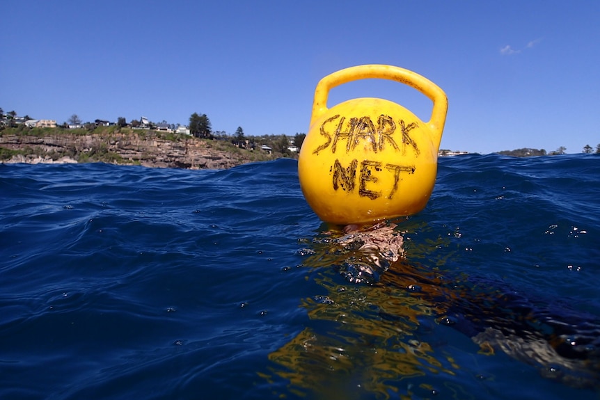 A buoy with "shark net" written on it floats in the ocean.