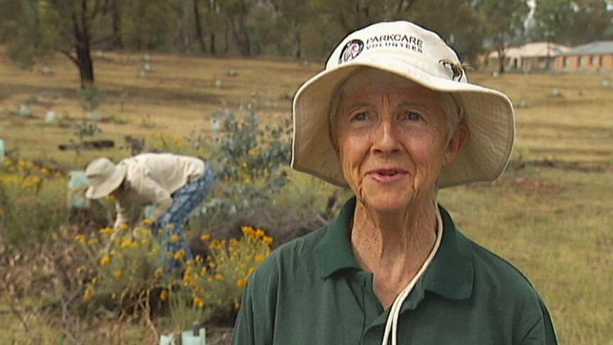 Margaret Clough spends most of her time as a volunteer weeding on Mount Ainslie.