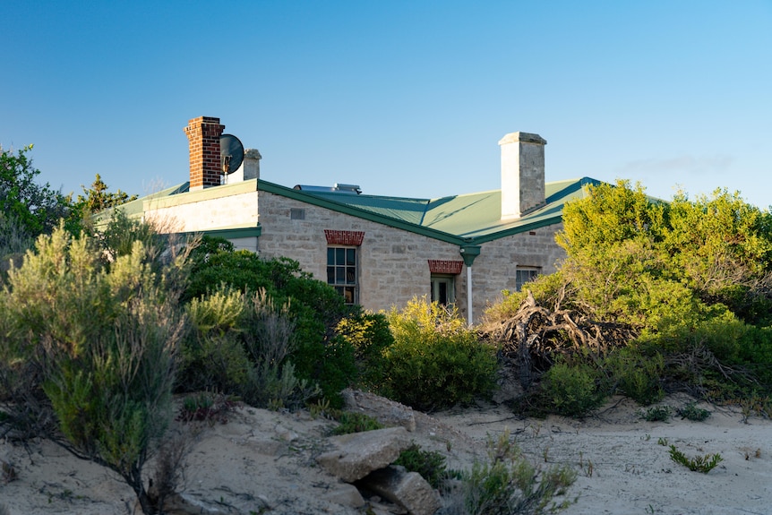 Sand and shrubs next to a house.