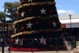 Kalgoorlie Christmas tree