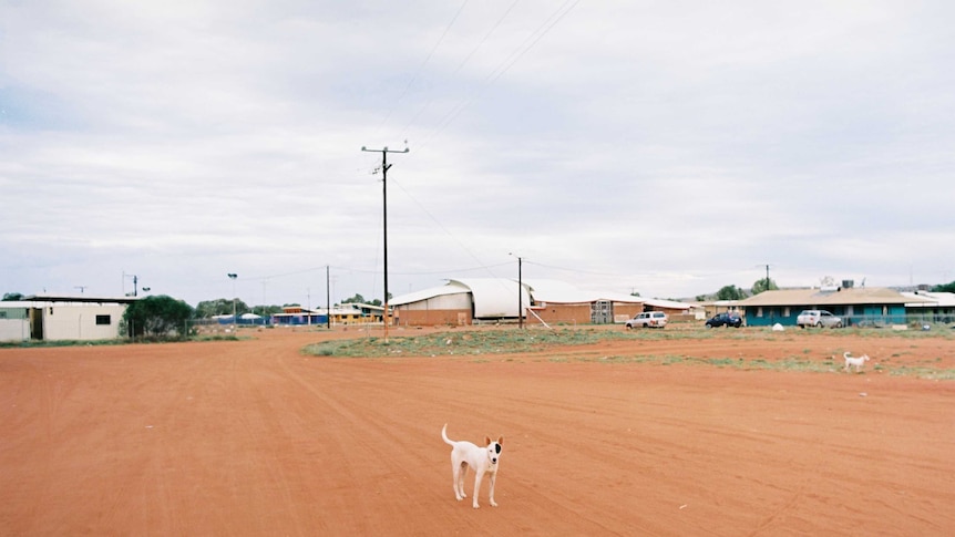 A white dog with a black patch over its left eye standing alone on a dirt street.