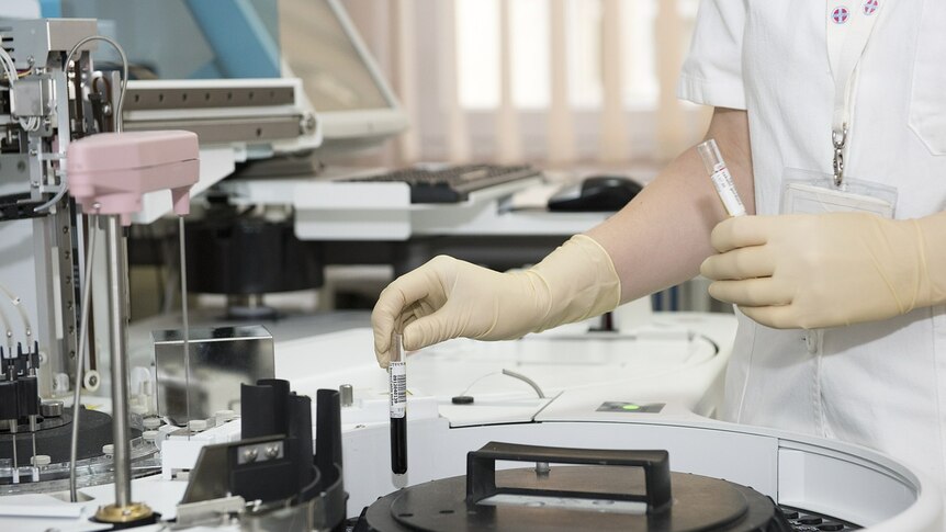 gloved hand holding a bile of blood in a test tube in a medical lab