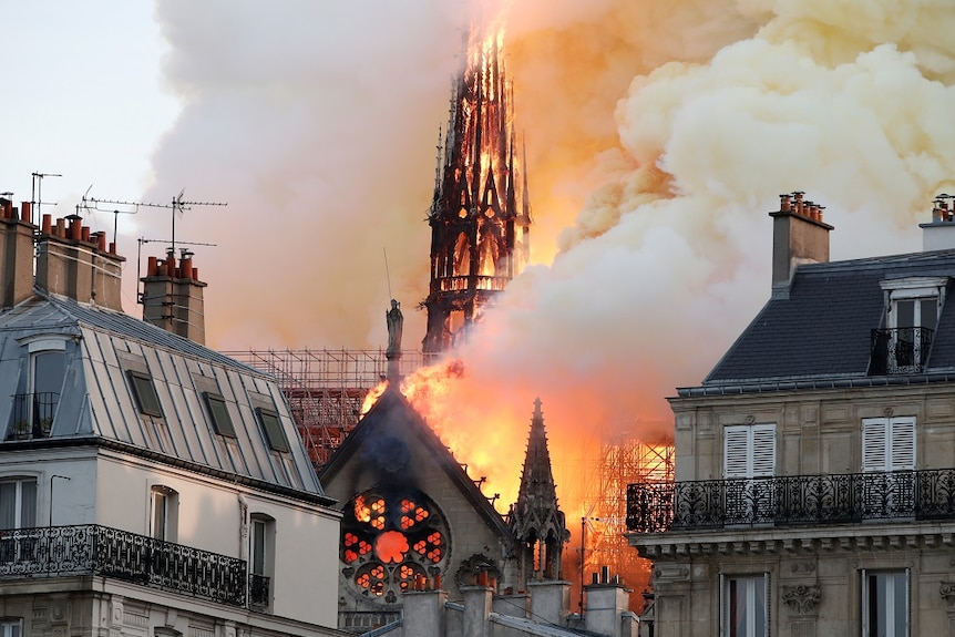 Flames rise from the roof and spire of the gothic cathedral.